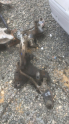 MAZDA 626 VİRAJ DEMİRİ