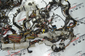Oto Çıkma Parça / Bmw / X5 / Elektrik / Elektrik Tesisatı / Çıkma Parça 