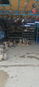 Oto Çıkma Parça / Fiat / Fiorino / Yakıt / Yakıt Pompası / Çıkma Parça 