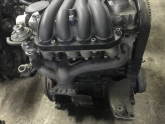 Oto Çıkma Parça / Volkswagen / Golf / Motor / Motor (komple) / Çıkma Parça 