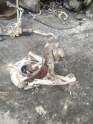 Oto Çıkma Parça / Mitsubishi / L200 / Fren / Fren Merkezi / Çıkma Parça 