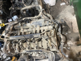 Oto Çıkma Parça / Fiat / Fiorino / Motor / Motor (komple) / Çıkma Parça 