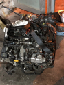 Oto Çıkma Parça / Volkswagen / Golf / Motor / Motor (komple) / Çıkma Parça 