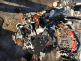 Oto Çıkma Parça / Ford / Transit Connect / Motor / Motor (komple) / Çıkma Parça 