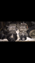 Ford Connect Mazot Pompası Çıkma 0312 396 42 49