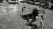 Oto Çıkma Parça / Hyundai / i20 / Klima / Klima Borusu / Çıkma Parça 