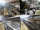 Oto Çıkma Parça / Renault / Fluence / Koltuk & Döşeme / İç Kapı Kolu / Çıkma Parça 