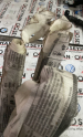 Oto Çıkma Parça / Mercedes / C180 / Airbag / Tavan Airbag / Çıkma Parça 