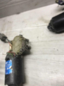Oto Çıkma Parça / Renault / R 19 / Oto Cam / Silecek Motoru / Çıkma Parça 