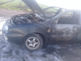 Oto Çıkma Parça / Fiat / Marea / Kaporta & Karoser / Sol Arka Kapı / Çıkma Parça 
