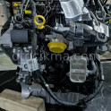 Oto Çıkma Parça / Audi / A5 / Motor / Motor Komple / Çıkma Parça 