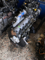 Oto Çıkma Parça / Renault / Trafic / Motor / Motor (komple) / Çıkma Parça 