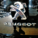 Peugeot 301 bağaj arması yazısı