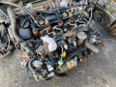Oto Çıkma Parça / Toyota / Corolla / Motor / Motor (komple) / Çıkma Parça 