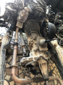Oto Çıkma Parça / Nissan / Navara / Motor / Motor (komple) / Çıkma Parça 