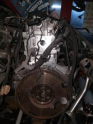 Oto Çıkma Parça / Ford / Transit / Motor / Motor (komple) / Çıkma Parça 
