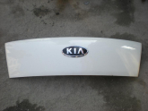 Oto Çıkma Parça / Kia / Bongo / Kaporta & Karoser / Kaput / Çıkma Parça 