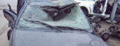 KOMPLE ÇIKMA 96 VOLVO S40 SİLECEK KOLU.