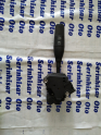 Oto Çıkma Parça / Renault / R 19 / Far & Stop / Far Anahtarı / Çıkma Parça 