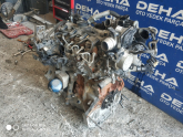 Oto Çıkma Parça / Renault / Megane / Motor / Motor (komple) / Çıkma Parça 