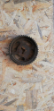 Oto Çıkma Parça / Opel / Omega / Motor / Eksantrik / Çıkma Parça 