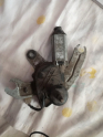 Oto Çıkma Parça / Peugeot / 206 / Oto Cam / Silecek Motoru / Çıkma Parça 