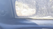 1997 model ford escort çıkma sağ ön ayna camı