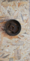Oto Çıkma Parça / Opel / Omega / Motor / Eksantrik / Çıkma Parça 