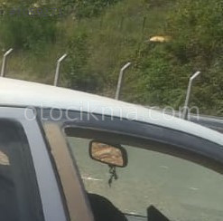 2011 model chevrolet aveo ls çıkma iç dikiz ayna camı