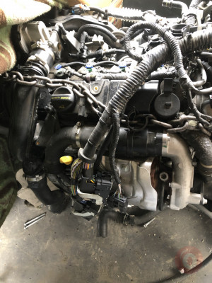 Ford kuga 1.5 tdci euro6 çıkma sıfır komple motor
