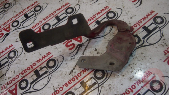 Renault Clio 3 Kaput Menteşesi