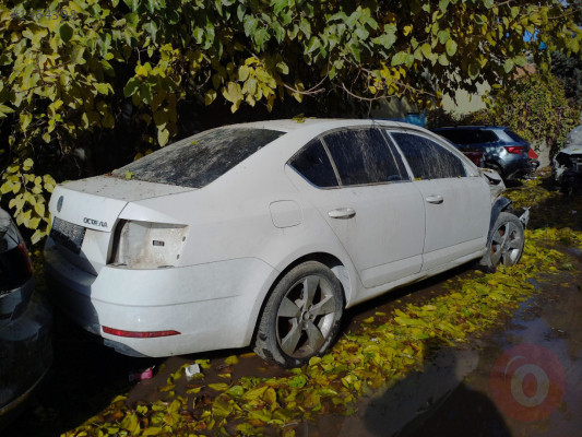 2017-2019 Skoda Octavia Arka Koltuklar Orjinal çıkma