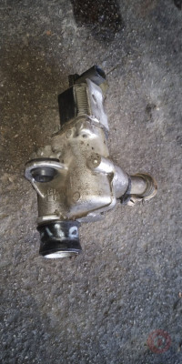 Renault Clio - Kangoo Egr Valfi