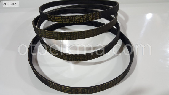 6PK 894 SEAT IBIZA 1993-1996 2.0-16V ŞARZ KAYIŞI SIFIR ORJ