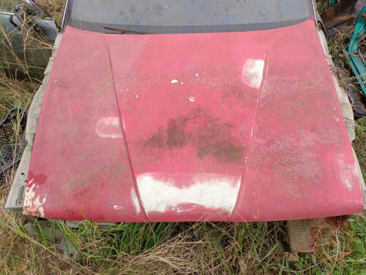 ALFA ROMEO 33 ÇIKMA MOTOR KAPUTU