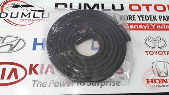 6050-HY005-4-ARKA KAPI FİTİLİ SOL-ACCENT-ERA 06-12 KASADAKİ