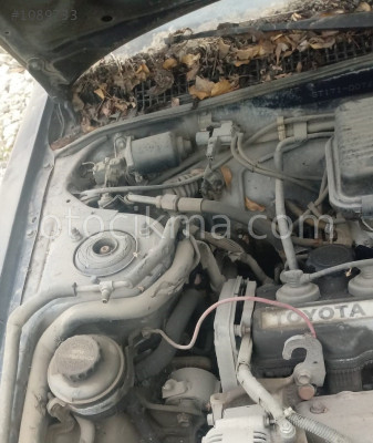 toyota corona 2.0 çıkma marş dinamosu