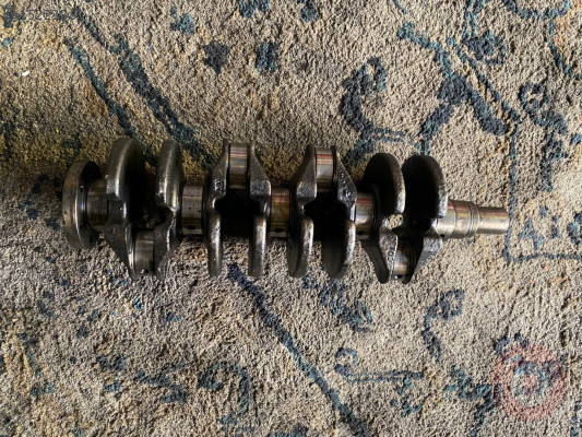 Ford fokus 1/6 diZel grank