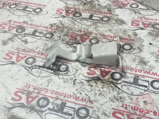 Kangoo Kapı Menteşesi 7782387018
