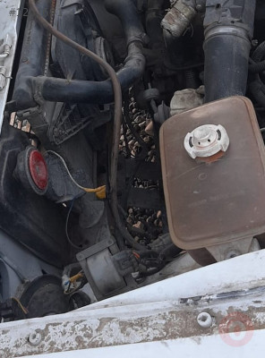 1992 model tofaş kartal çıkma bidon