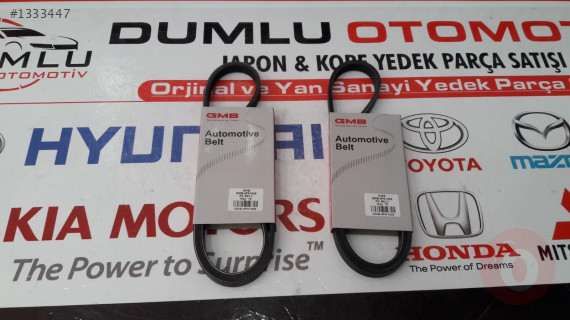 KANALLI KAYIS GMB-4PK1005