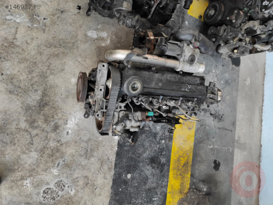 Reno cilo 1.5 dizel kople motor