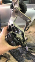 Oto Çıkma Parça / Toyota / Yaris / Oto Cam / Silecek Mekanizması / Çıkma Parça 