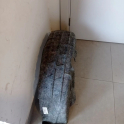 Oto Çıkma Parça / Volkswagen / Golf / Kaporta & Karoser / Davlumbaz / Sıfır Parça 