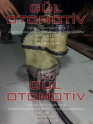 Oto Çıkma Parça / Renault / Clio / Direksiyon / Direksiyon Pompası / Çıkma Parça 