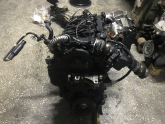 Oto Çıkma Parça / Citroen / Berlingo / Motor / Motor (komple) / Çıkma Parça 