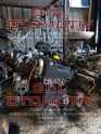 Oto Çıkma Parça / Dacia / Duster / Motor / Motor (komple) / Çıkma Parça 