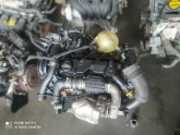 Oto Çıkma Parça / Ford / Fiesta / Motor / Motor (komple) / Çıkma Parça 