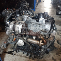 Oto Çıkma Parça / Audi / A3 / Motor / Komple Motor / Çıkma Parça 