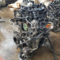 Oto Çıkma Parça / Audi / Q3 / Motor / Motor (komple) / Sıfır Parça 